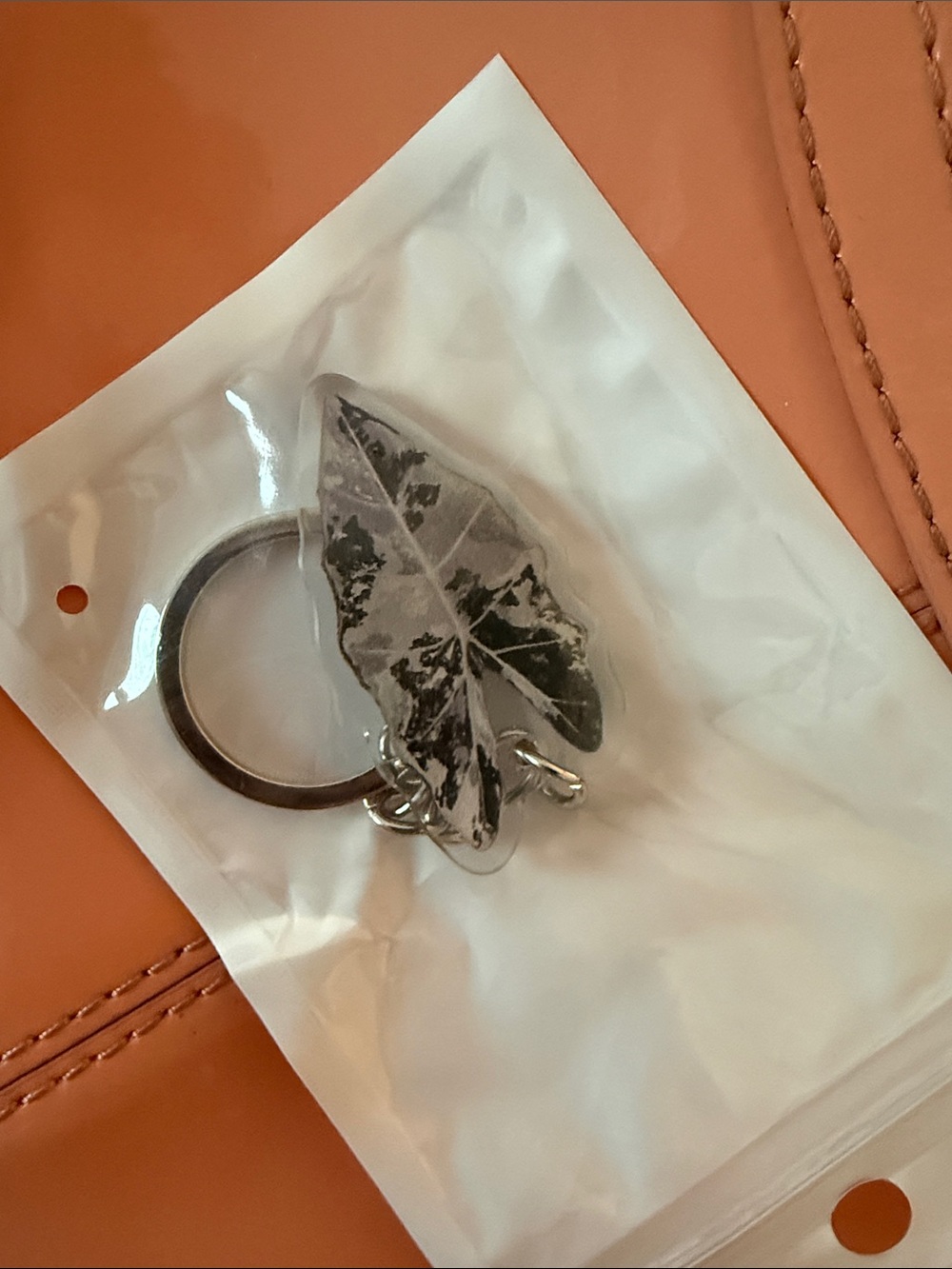 Variegated Alocasia Silver Leaf Keyring Keychain - Brand New! - Picture 2 of 3